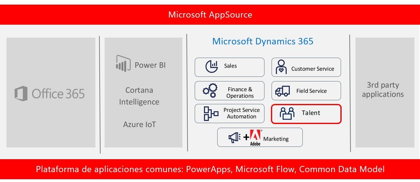 Dynamics 365 Talent: Attract The Best Talents For Your Company